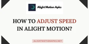 How to adjust speed in alight motion